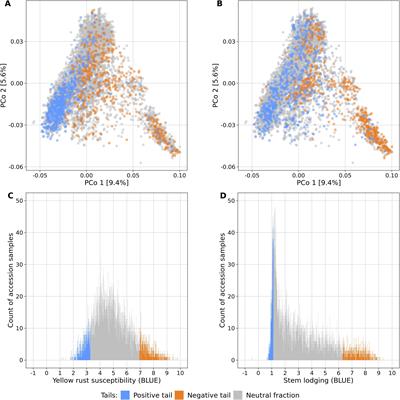 Trait-customized sampling of core collections from a winter wheat genebank collection supports association studies